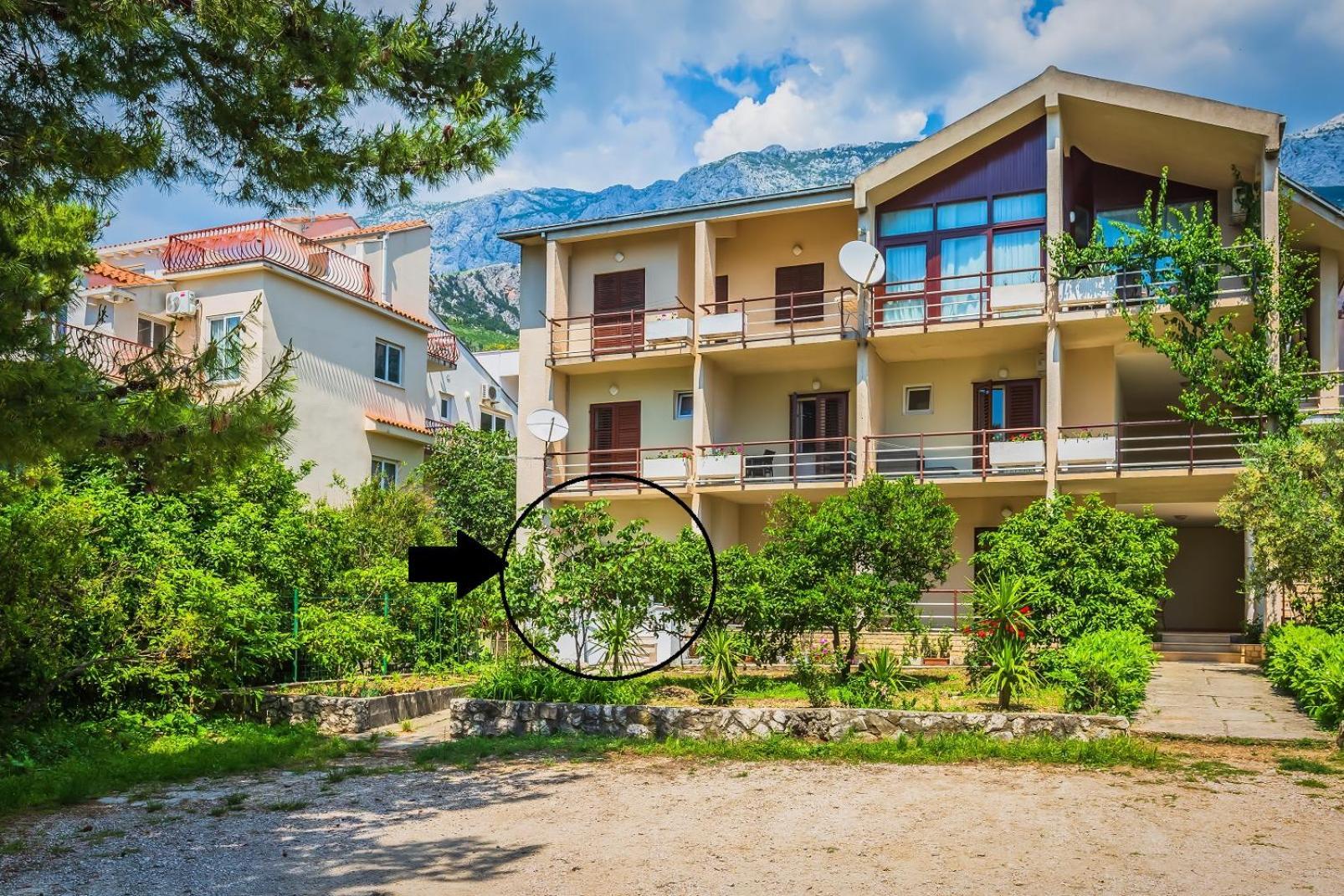 Apartments Agneza Tučepi Buitenkant foto